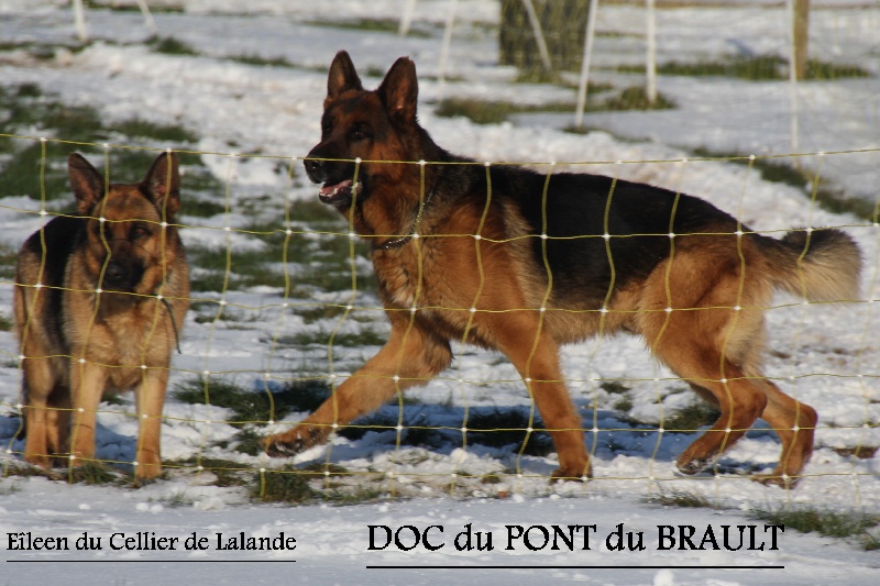 Doc du pont du brault