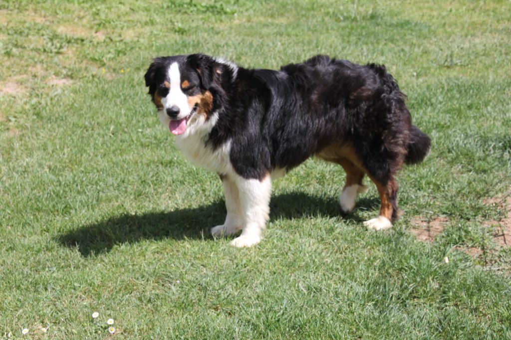 Nina Du champ de l'ormeau
