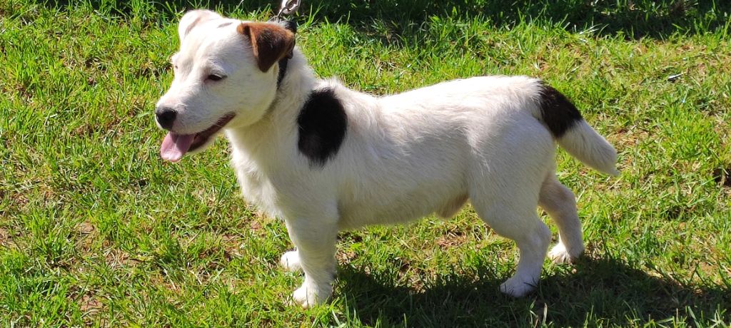 Vianney Du champ de l'ormeau