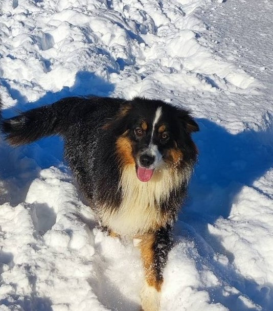 ABY Du champ de l'ormeau