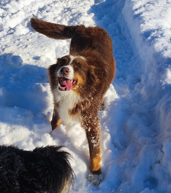 TIVA Du champ de l'ormeau